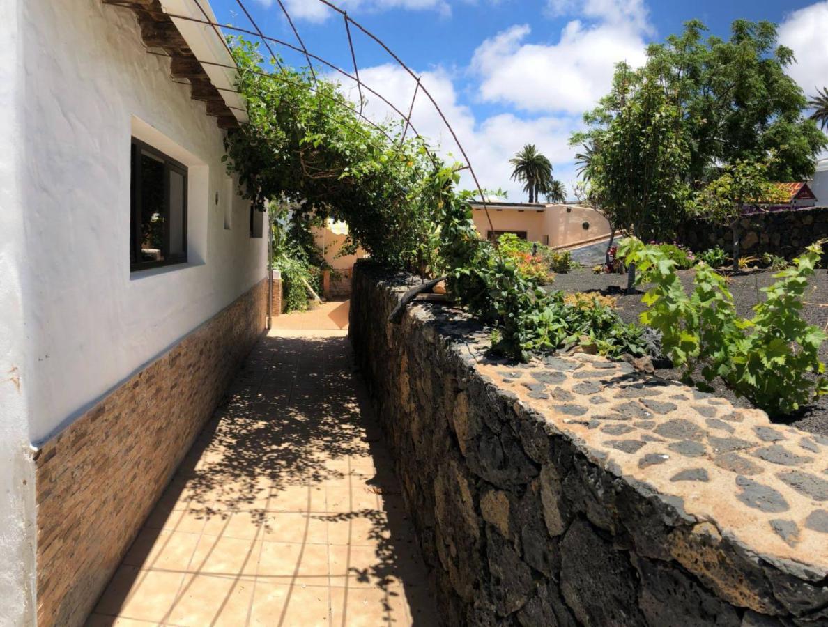 Casa Palmera Y Casa Datil 海瑞亚 外观 照片
