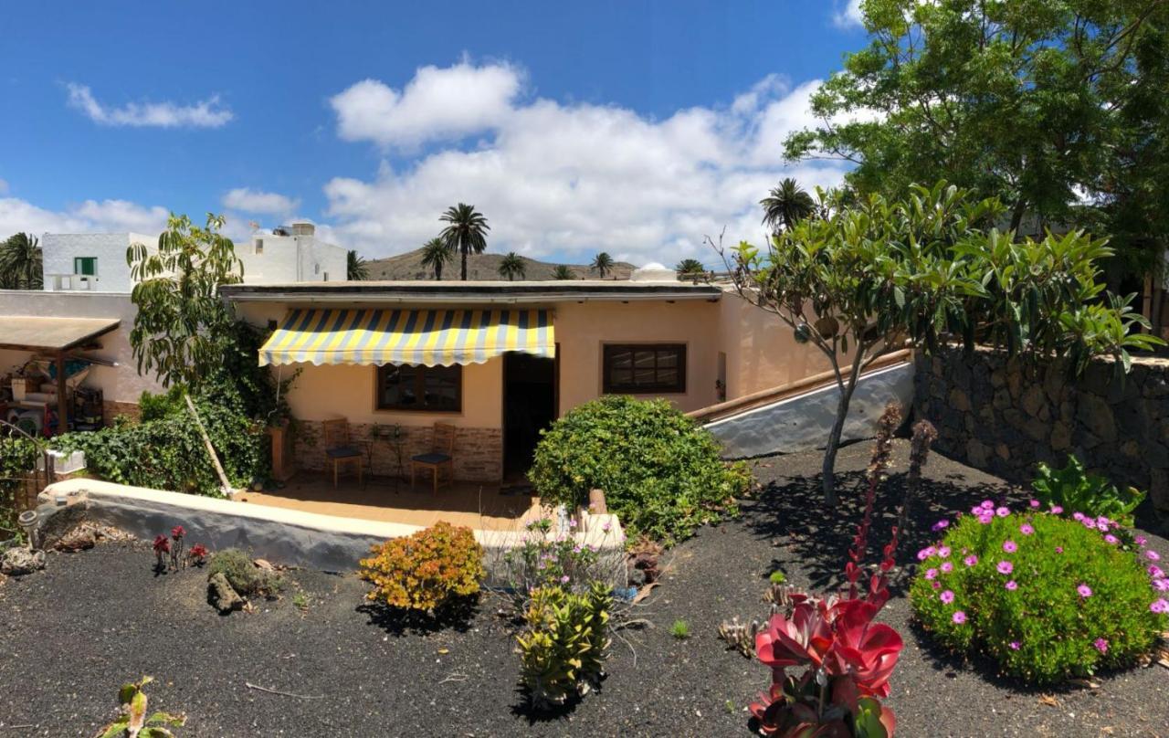 Casa Palmera Y Casa Datil 海瑞亚 外观 照片